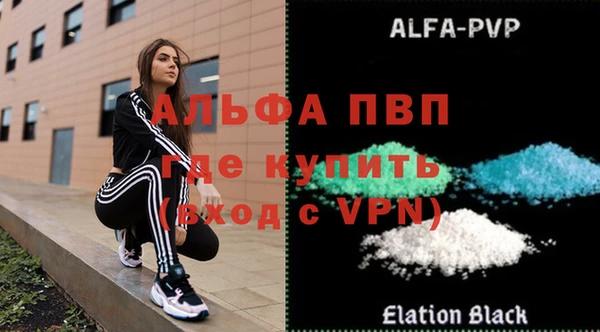 ПСИЛОЦИБИНОВЫЕ ГРИБЫ Новозыбков