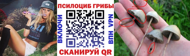 Галлюциногенные грибы Cubensis что такое наркотик Анадырь